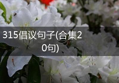 315倡议句子(合集20句)