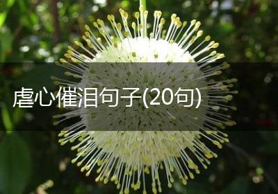 虐心催泪句子(20句)