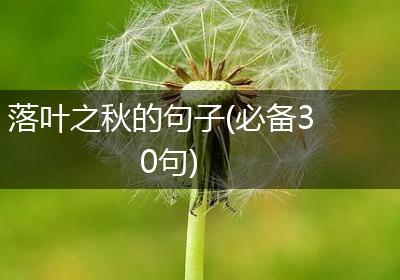 落叶之秋的句子(必备30句)