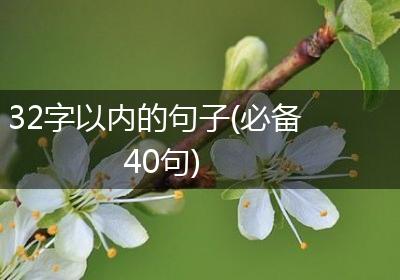 32字以内的句子(必备40句)