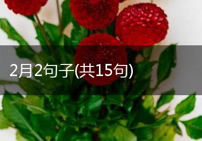 2月2句子(共15句)