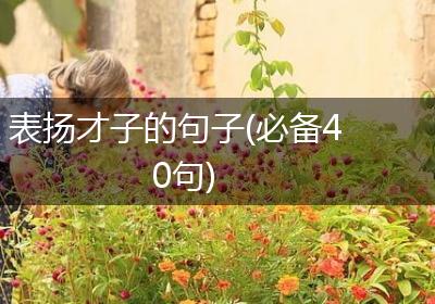 表扬才子的句子(必备40句)