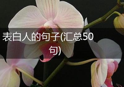 表白人的句子(汇总50句)