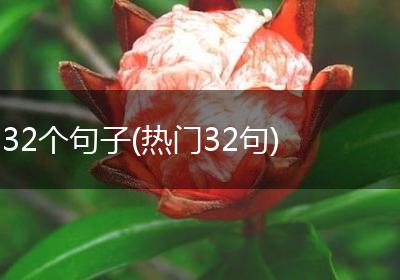 32个句子(热门32句)