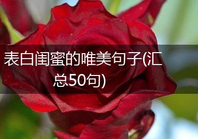 表白闺蜜的唯美句子(汇总50句)