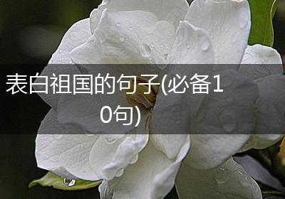 表白祖国的句子(必备10句)