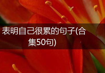 表明自己很累的句子(合集50句)