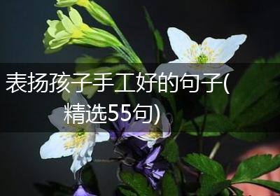 表扬孩子手工好的句子(精选55句)