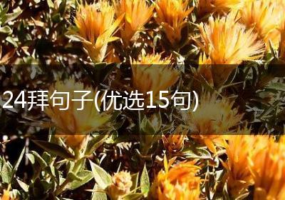 24拜句子(优选15句)