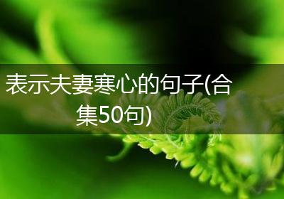 表示夫妻寒心的句子(合集50句)