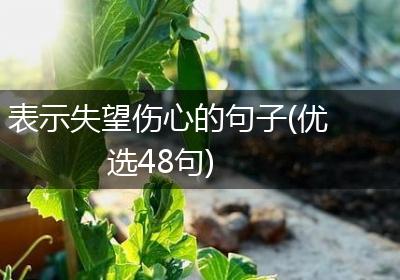 表示失望伤心的句子(优选48句)