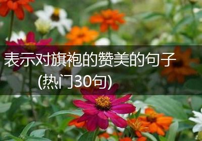 表示对旗袍的赞美的句子(热门30句)