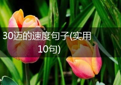 30迈的速度句子(实用10句)