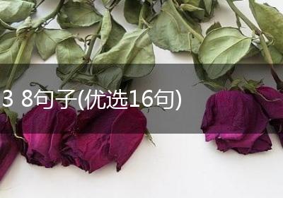 3 8句子(优选16句)