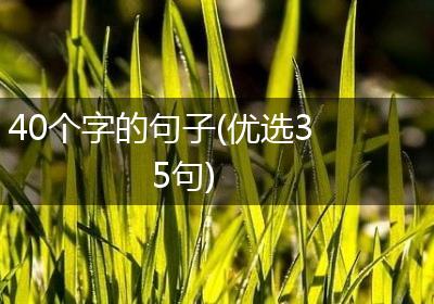 40个字的句子(优选35句)
