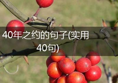 40年之约的句子(实用40句)