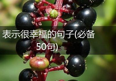 表示很幸福的句子(必备50句)