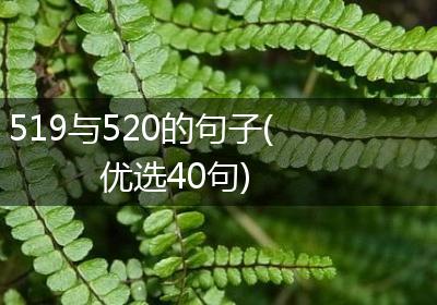 519与520的句子(优选40句)