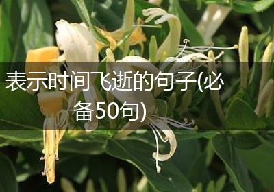表示时间飞逝的句子(必备50句)