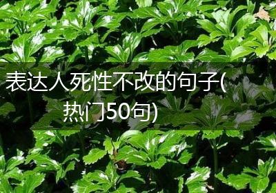 表达人死性不改的句子(热门50句)