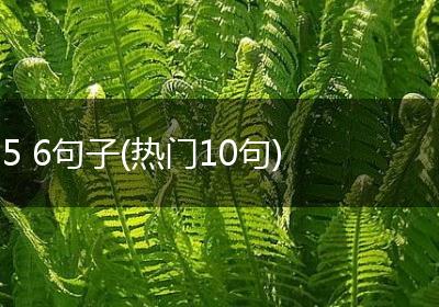 5 6句子(热门10句)