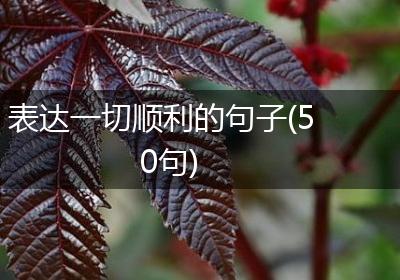 表达一切顺利的句子(50句)