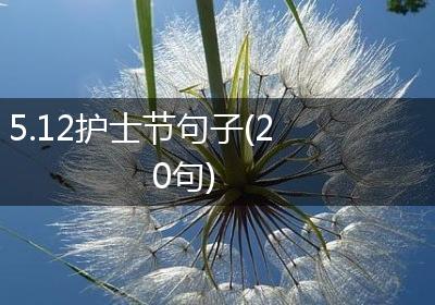 5.12护士节句子(20句)