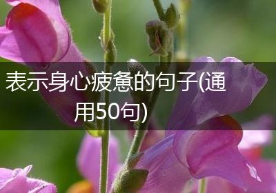表示身心疲惫的句子(通用50句)