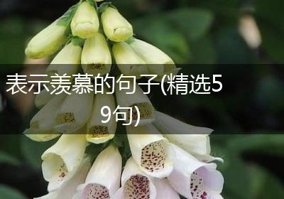 表示羡慕的句子(精选59句)