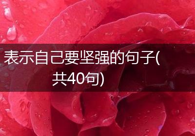 表示自己要坚强的句子(共40句)