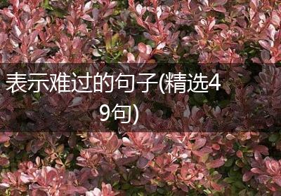表示难过的句子(精选49句)