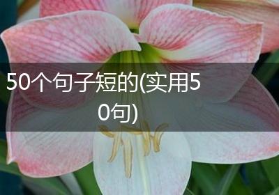 50个句子短的(实用50句)