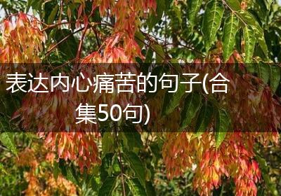 表达内心痛苦的句子(合集50句)