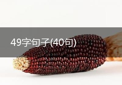 49字句子(40句)