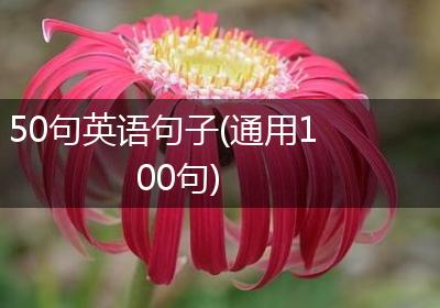 50句英语句子(通用100句)