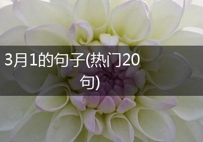 3月1的句子(热门20句)