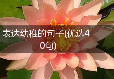 表达幼稚的句子(优选40句)