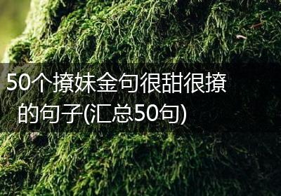 50个撩妹金句很甜很撩的句子(汇总50句)