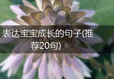 表达宝宝成长的句子(推荐20句)