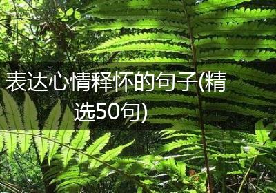 表达心情释怀的句子(精选50句)