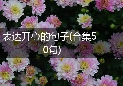 表达开心的句子(合集50句)