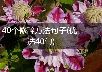 40个修辞方法句子(优选40句)