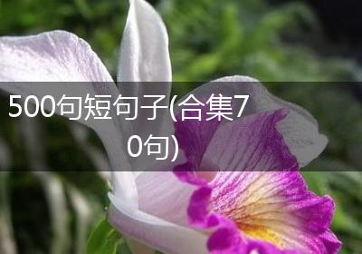 500句短句子(合集70句)
