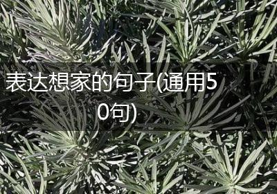 表达想家的句子(通用50句)