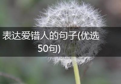 表达爱错人的句子(优选50句)