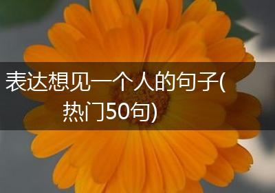 表达想见一个人的句子(热门50句)