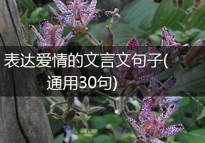 表达爱情的文言文句子(通用30句)