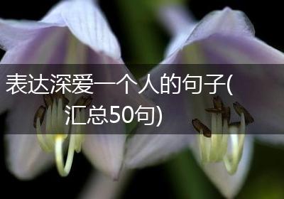 表达深爱一个人的句子(汇总50句)