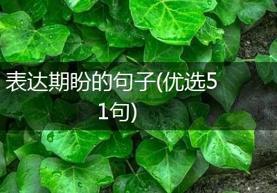 表达期盼的句子(优选51句)