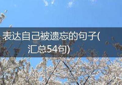 表达自己被遗忘的句子(汇总54句)